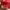 Nike Sportswear Sneakers Pria red photo 6