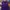 Polo Ralph Lauren Luxury Polo Shirt Pria Purple