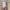 Carhartt Vintage Casual Pria tan photo 4