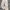 Carhartt Vintage Casual Pria tan photo 1