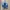 Puma Casual Sneakers Pria blue photo 5