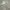 Burberry Luxury Sportswear Wanita multicolor photo 5
