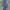Dickies Casual Casual pants Pria navy photo 3