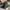 Bottega Veneta Streetwear Casual Shoulder bag Wanita black photo 6