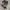 Japanese brand Gorpcore Sportswear Hat Pria brown photo 3
