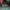 Leyton House Racing Minimalist Pria Green