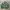 Japanese Brand Vintage Sportswear Bomber Jacket Pria Green
