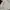 Japanese brand Coquette Casual Blouse Wanita white photo 2