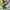 Y2K Indie Shoulder bag Wanita multicolor photo 5