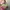 Y2K Indie Shoulder bag Wanita multicolor photo 3