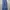 Dickies Skater Casual Casual pants Pria navy photo 2