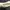 Nike Skater Sneakers Pria white black photo 7