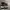 Nike Skater Sneakers Pria white black photo 1