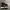 Nike Skater Sneakers Pria White Black