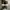 Nike Skater Sneakers Pria white black photo 5
