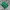 Casual T-shirt Pria green photo 1