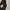 Adidas Luxury Casual T-shirt Pria black photo 4