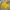 Casual T-shirt Pria yellow photo 3