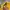Casual T-shirt Pria yellow photo 5