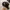 MLB Y2K Casual Hat Pria black photo 5