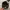 MLB Y2K Casual Hat Pria black photo 2