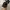 Nike Y2K Casual Hat Pria black photo 1