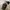 National Geographic Streetwear Y2K Hat Pria multicolor photo 6