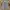 Carhartt Vintage Streetwear Short Pria gray photo 1