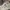 Carhartt Vintage Streetwear Short Pria gray photo 5