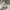 Carhartt Vintage Streetwear Short Pria white cream photo 7