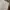 Carhartt Vintage Streetwear Short Pria white cream photo 2