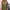 Y2K Grunge Vest Wanita green red photo 5