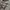 Spao Casual Sweater Pria multicolor photo 5