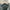 Casual Trench coat Pria green photo 4