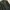 Casual Trench coat Pria green photo 3