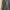 Casual Trench coat Pria green photo 5