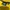 New Balance Vintage Jersey Pria yellow photo 5