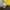 New Balance Vintage Jersey Pria yellow photo 3