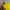 New Balance Vintage Jersey Pria yellow photo 2