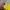 New Balance Vintage Jersey Pria Yellow