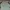 GAP Casual Sweater Pria green photo 1