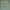 GAP Casual Sweater Pria green photo 3