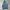 Timberland Gorpcore Windbreaker Pria blue photo 2