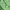 Streetwear Sportswear Sweater Wanita white green photo 6