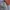 Nike Sportswear Casual Sneakers Pria multicolor green photo 2