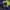 Polo Ralph Lauren Luxury Minimalist Polo shirt Pria navy photo 3