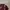 Giordano Luxury Minimalist Polo shirt Pria burgundy brown photo 2