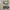 GAP Casual Hoody Pria white photo 2