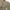 Moncler Streetwear Luxury Cardigan Pria tan photo 2