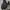 Gorpcore Track jacket Pria black photo 1